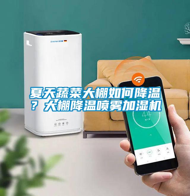 夏天蔬菜大棚如何降溫？大棚降溫噴霧加濕機