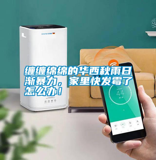 纏纏綿綿的華西秋雨日漸暴力，家里快發(fā)霉了怎么辦！