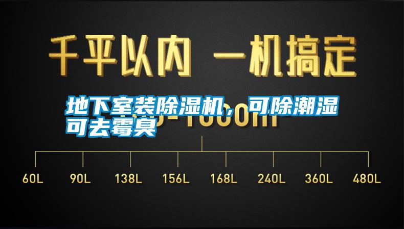 地下室裝除濕機，可除潮濕可去霉臭