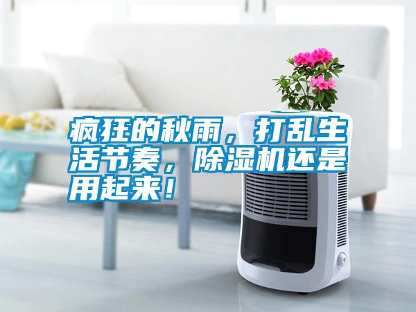 瘋狂的秋雨，打亂生活節奏，除濕機還是用起來(lái)！