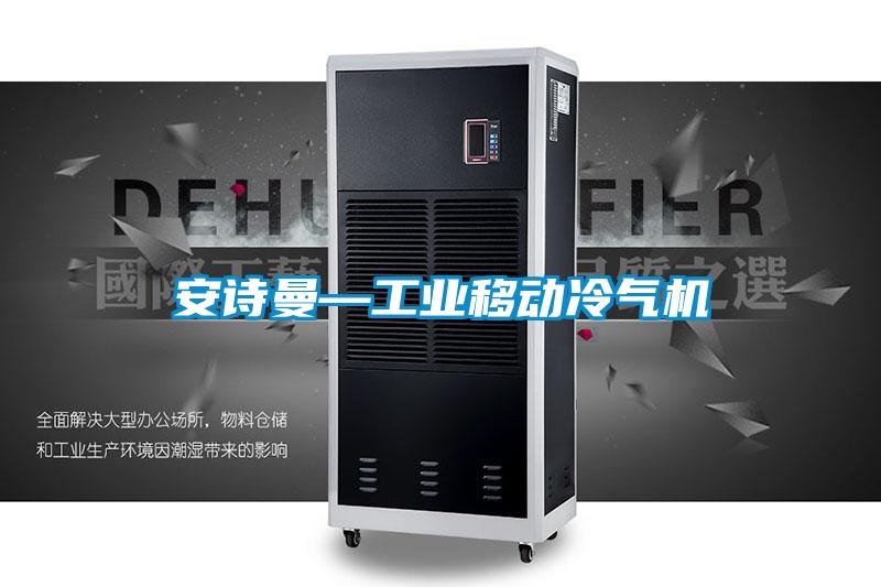 安詩(shī)曼—工業(yè)移動(dòng)冷氣機