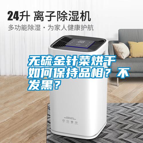 無(wú)硫金針菜烘干如何保持品相？不發(fā)黑？