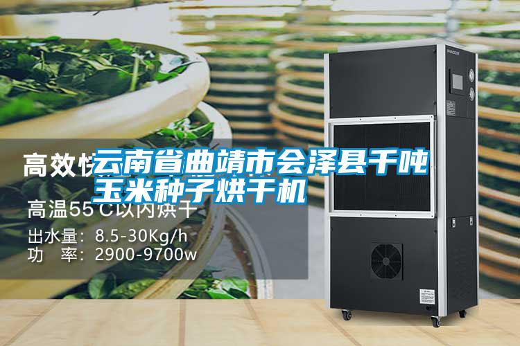 云南省曲靖市會(huì )澤縣千噸玉米種子烘干機