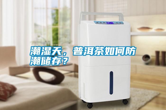 潮濕天，普洱茶如何防潮儲存？
