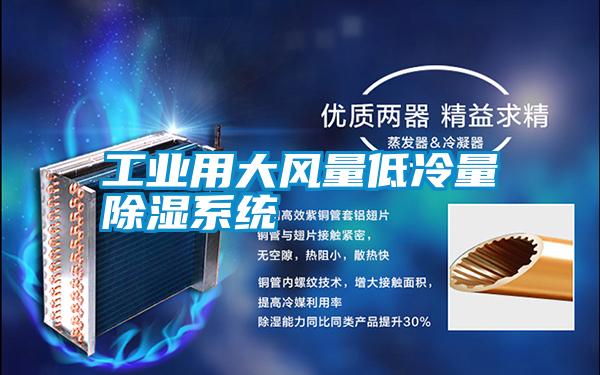 工業(yè)用大風(fēng)量低冷量除濕系統