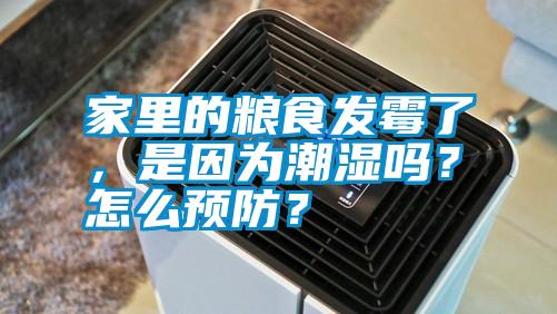 家里的糧食發(fā)霉了，是因為潮濕嗎？怎么預防？