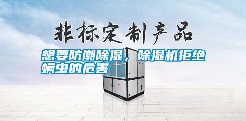 想要防潮除濕，除濕機拒絕螨蟲(chóng)的危害