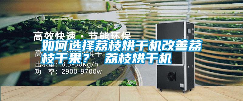 如何選擇荔枝烘干機改善荔枝干果？ 荔枝烘干機