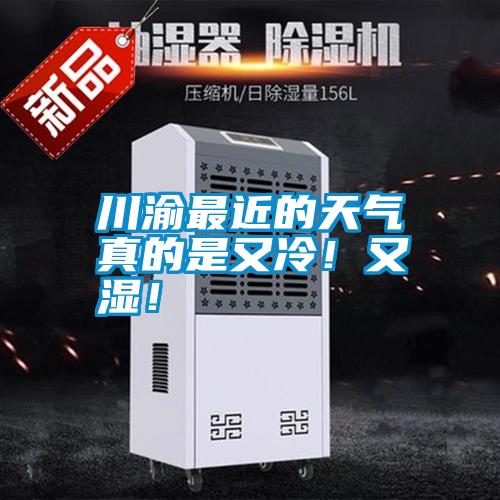 川渝最近的天氣真的是又冷！又濕！