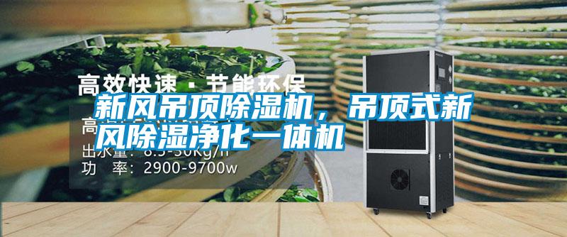 新風(fēng)吊頂除濕機，吊頂式新風(fēng)除濕凈化一體機