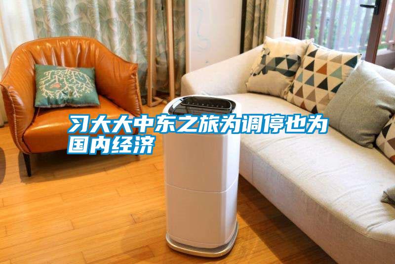 習大大中東之旅為調停也為國內經(jīng)濟