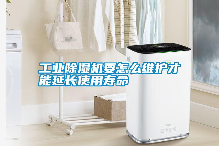 工業(yè)除濕機要怎么維護才能延長(cháng)使用壽命