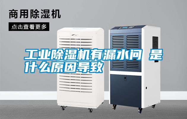 工業(yè)除濕機有漏水問(wèn)題是什么原因導致