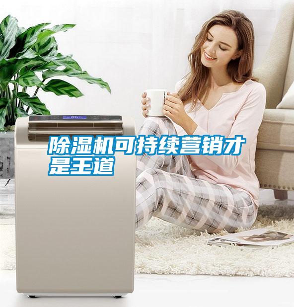 除濕機可持續營(yíng)銷(xiāo)才是王道