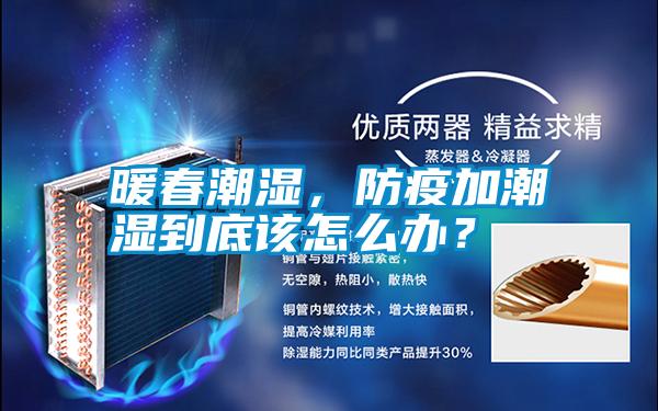 暖春潮濕，防疫加潮濕到底該怎么辦？