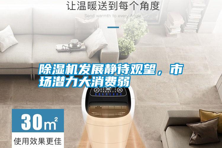 除濕機發(fā)展靜待觀(guān)望，市場(chǎng)潛力大消費弱