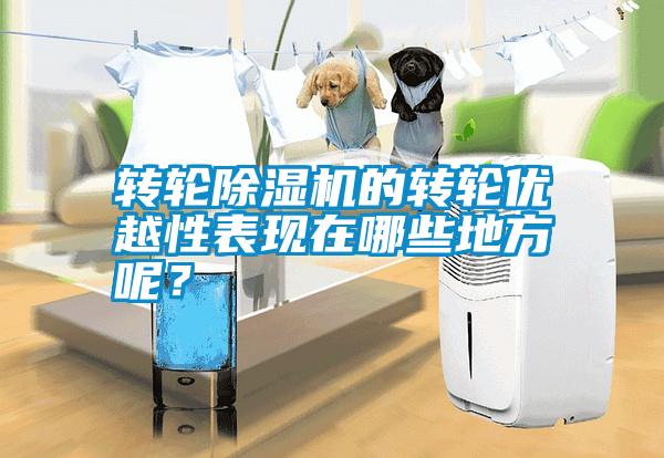 轉輪除濕機的轉輪優(yōu)越性表現在哪些地方呢？