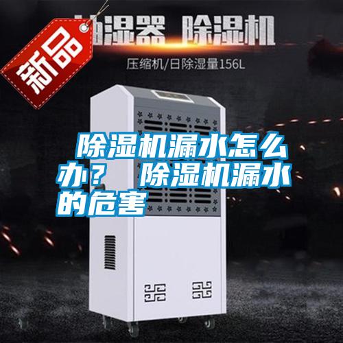  除濕機漏水怎么辦？ 除濕機漏水的危害