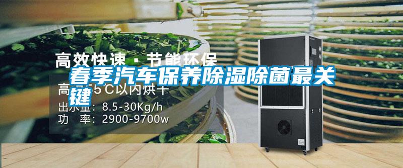 春季汽車(chē)保養除濕除菌最關(guān)鍵