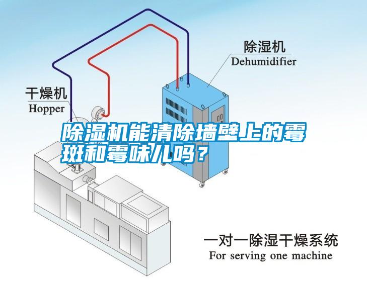 除濕機能清除墻壁上的霉斑和霉味兒?jiǎn)幔?/></p>
						    <p style=