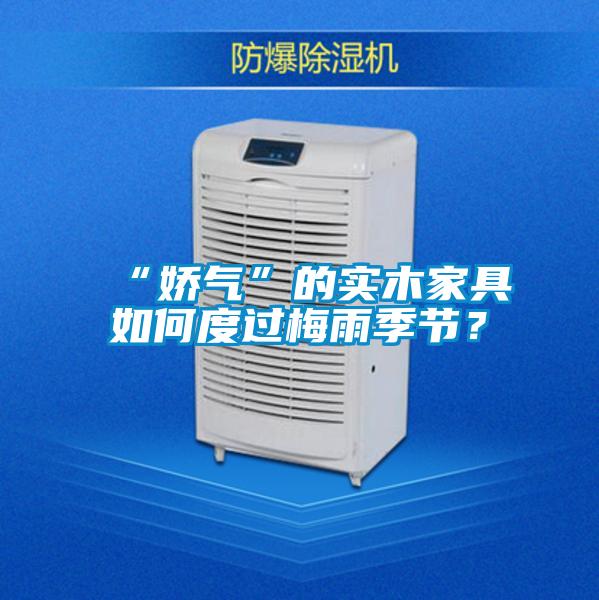 “嬌氣”的實(shí)木家具如何度過(guò)梅雨季節？