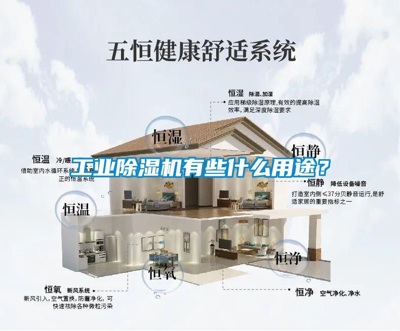 工業(yè)除濕機有些什么用途？