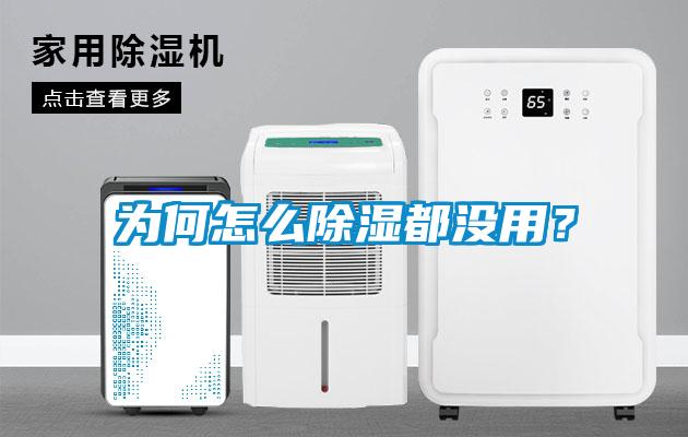 為何怎么除濕都沒(méi)用？