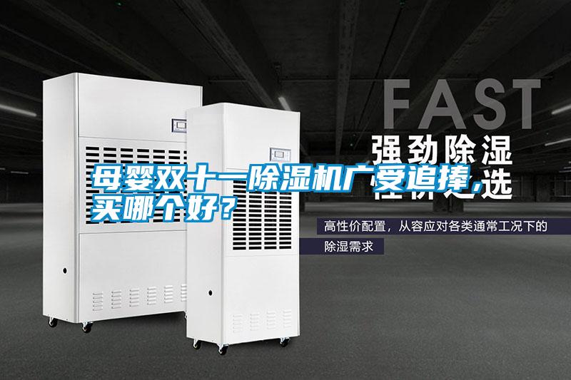 母嬰雙十一除濕機廣受追捧，買(mǎi)哪個(gè)好？