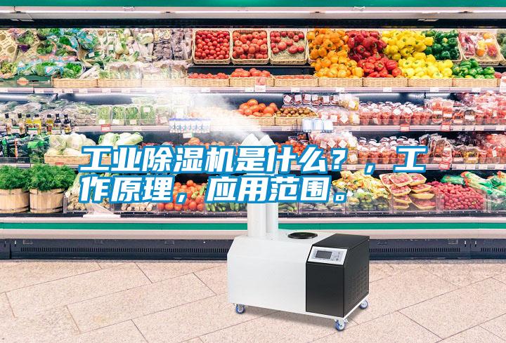 工業(yè)除濕機是什么？，工作原理，應用范圍。