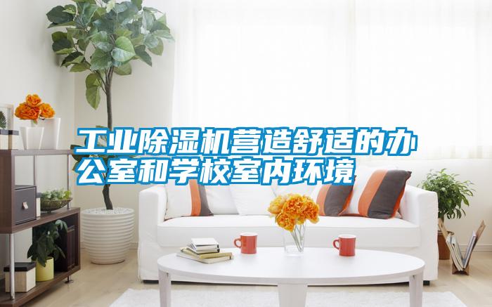 工業(yè)除濕機營(yíng)造舒適的辦公室和學(xué)校室內環(huán)境