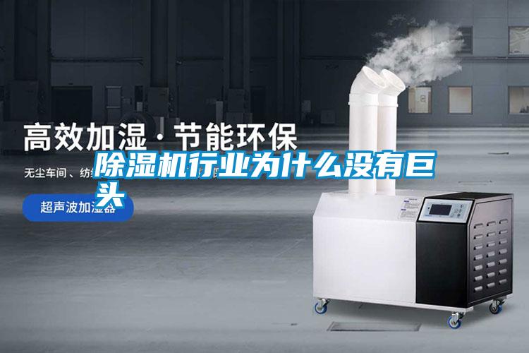除濕機行業(yè)為什么沒(méi)有巨頭