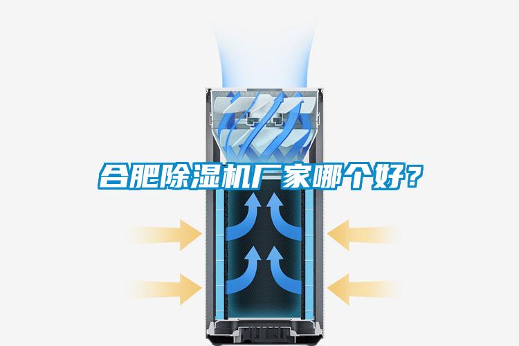 合肥除濕機廠(chǎng)家哪個(gè)好？