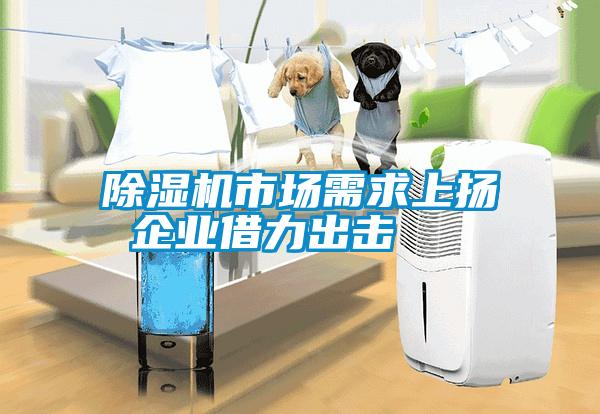 除濕機市場(chǎng)需求上揚 企業(yè)借力出擊