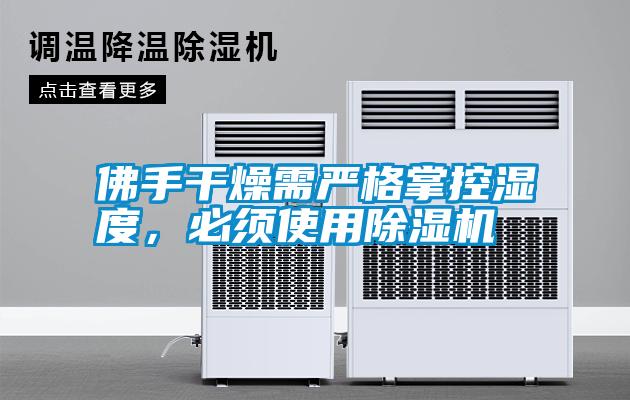 佛手干燥需嚴格掌控濕度，必須使用除濕機