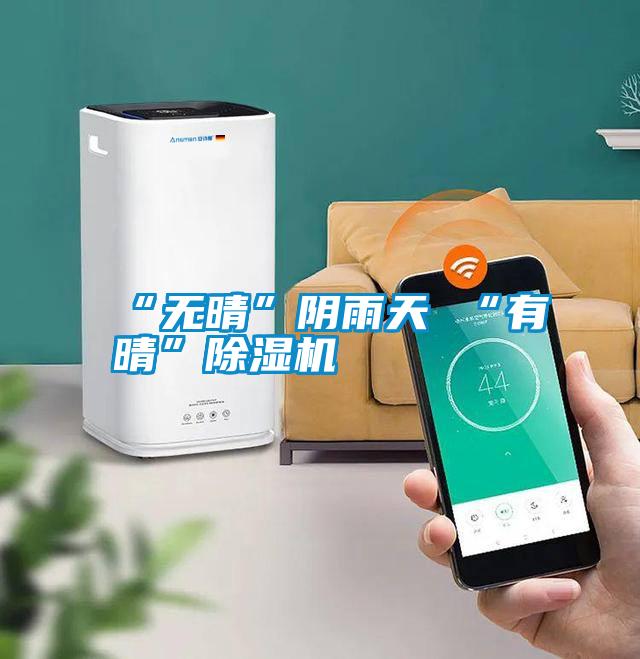 “無(wú)晴”陰雨天 “有晴”除濕機