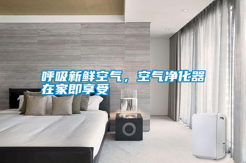 呼吸新鮮空氣，空氣凈化器在家即享受