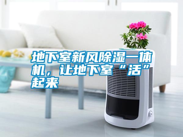 地下室新風(fēng)除濕一體機，讓地下室“活”起來(lái)