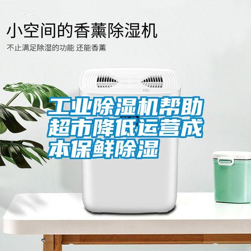 工業(yè)除濕機幫助超市降低運營(yíng)成本保鮮除濕