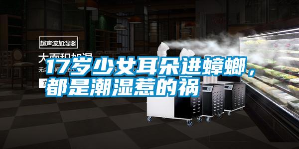 17歲少女耳朵進(jìn)蟑螂，都是潮濕惹的禍
