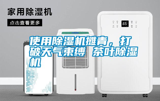 使用除濕機攤青，打破天氣束縛 茶葉除濕機