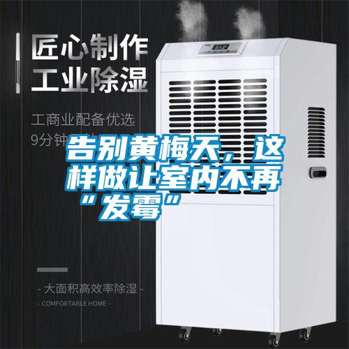 告別黃梅天，這樣做讓室內不再“發(fā)霉”