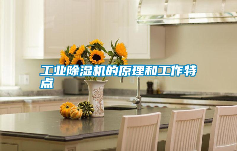 工業(yè)除濕機的原理和工作特點(diǎn)