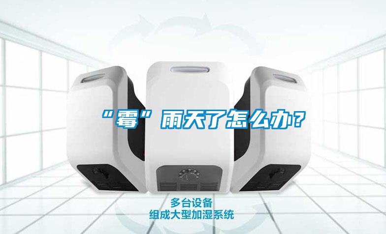 “霉”雨天了怎么辦？