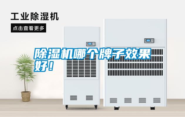 除濕機哪個(gè)牌子效果好！