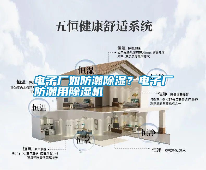 電子廠(chǎng)如防潮除濕？電子廠(chǎng)防潮用除濕機