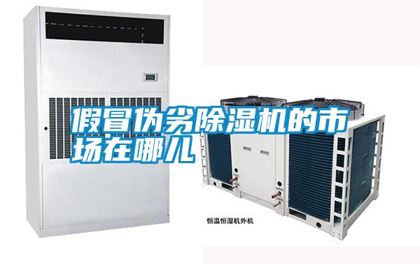 假冒偽劣除濕機的市場(chǎng)在哪兒