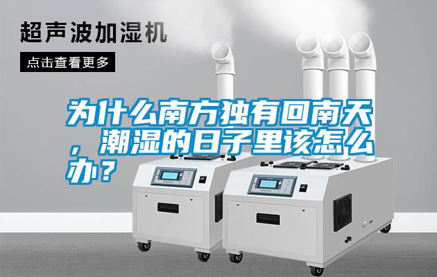 為什么南方獨有回南天，潮濕的日子里該怎么辦？