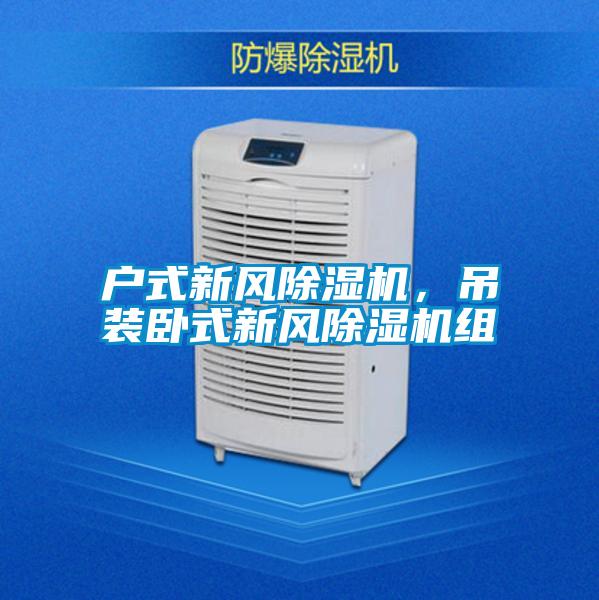 戶(hù)式新風(fēng)除濕機，吊裝臥式新風(fēng)除濕機組