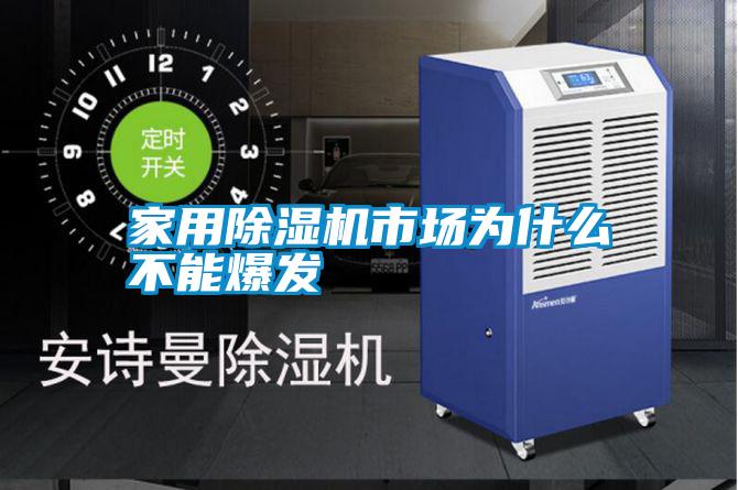 家用除濕機市場(chǎng)為什么不能爆發(fā)