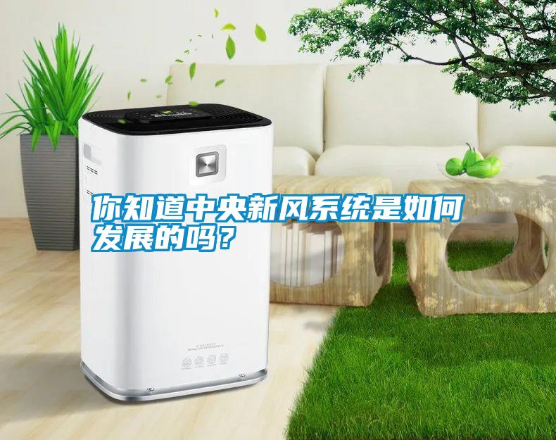 你知道中央新風(fēng)系統是如何發(fā)展的嗎？